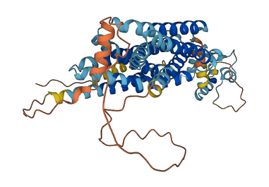 SLC39A14 3D structure