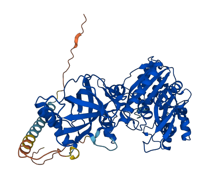 KARS1 3D structure