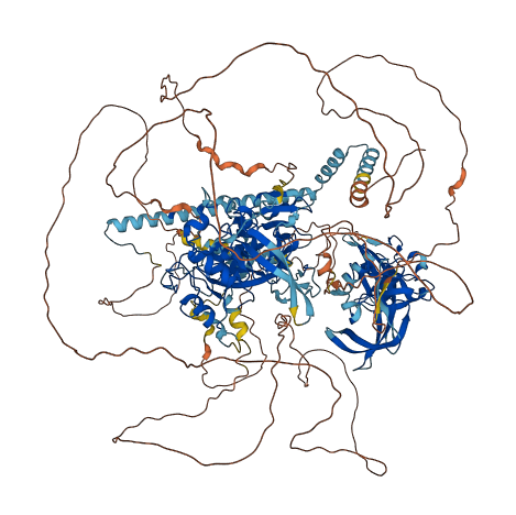 SETDB1 3D structure
