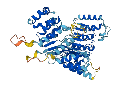 LRRC14 3D structure