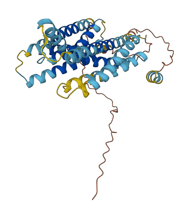 MLC1 3D structure