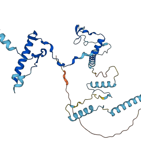 RRS1 3D structure