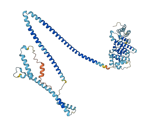 IQCB1 3D structure