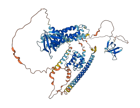 ARHGEF6 3D structure