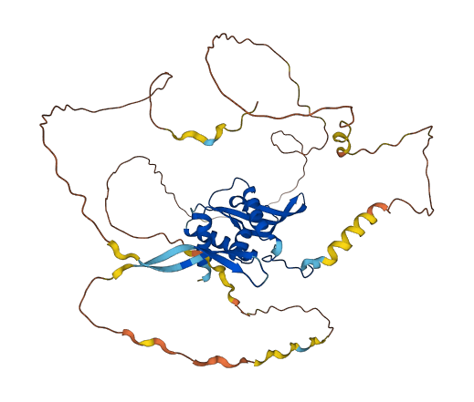 POLD3 3D structure
