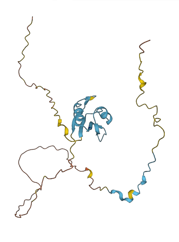EIF4H 3D structure