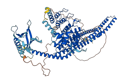 ACAP2 3D structure