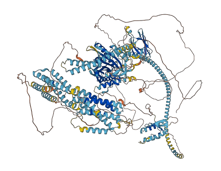 KIF14 3D structure