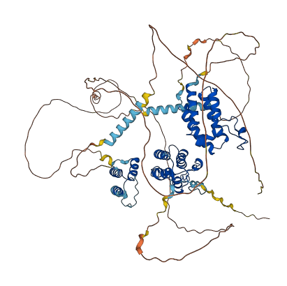 BRD3 3D structure