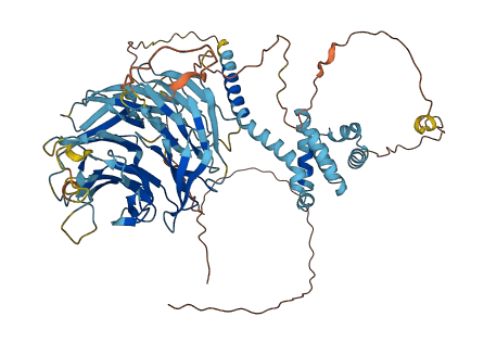 WDR43 3D structure