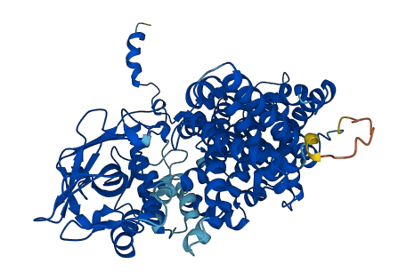 ACOX1 3D structure