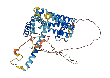 OXA1L 3D structure