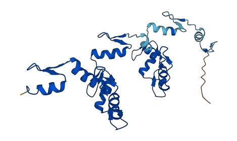 ZNF146 3D structure
