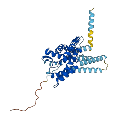 P2RY6 3D structure