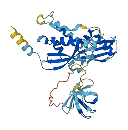 NCF4 3D structure