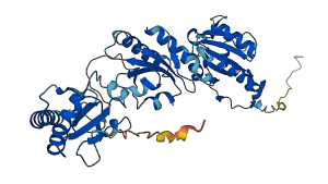 PDIA6 3D structure