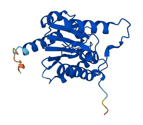 PAFAH1B3 3D structure