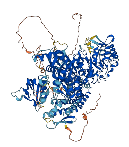 PLCL1 3D structure