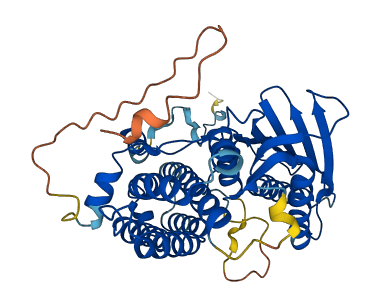 PDK1 3D structure
