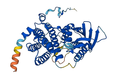 PDK2 3D structure