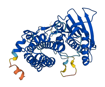 PDK3 3D structure