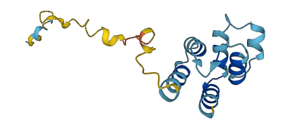 PEA15 3D structure