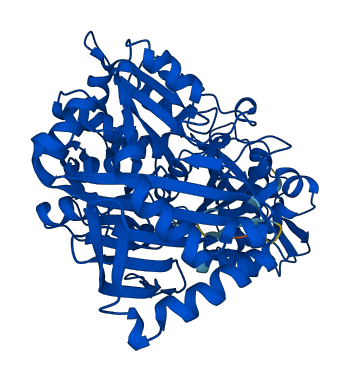 PGM5 3D structure