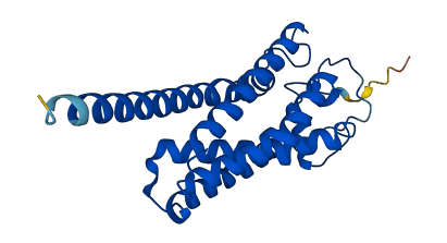 EBP 3D structure