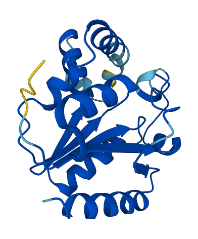 PMVK 3D structure