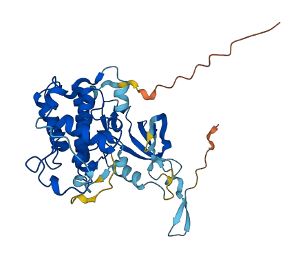 CDK10 3D structure