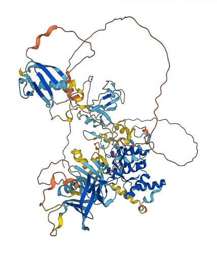 PRKD1 3D structure