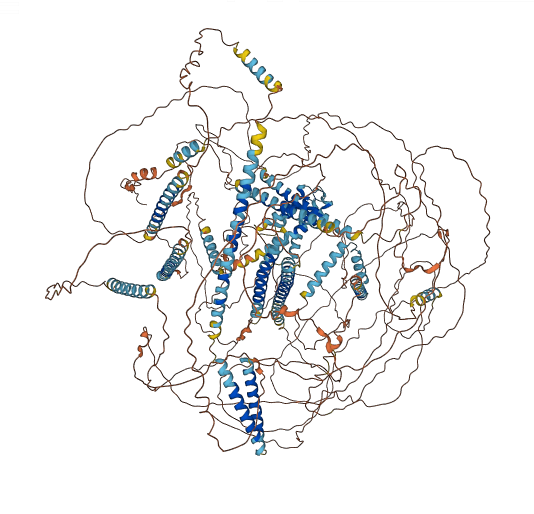 PCM1 3D structure