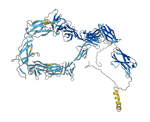 NOMO1 3D structure