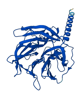 PON2 3D structure