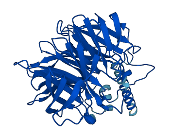 PON3 3D structure