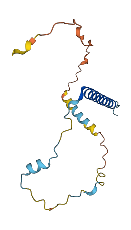 TCEAL1 3D structure