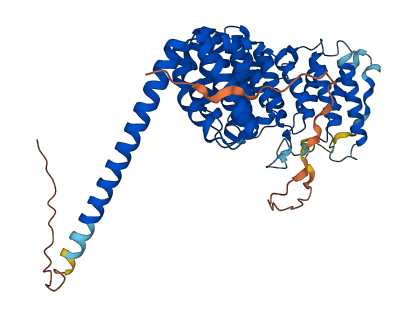 PPP2R5B 3D structure