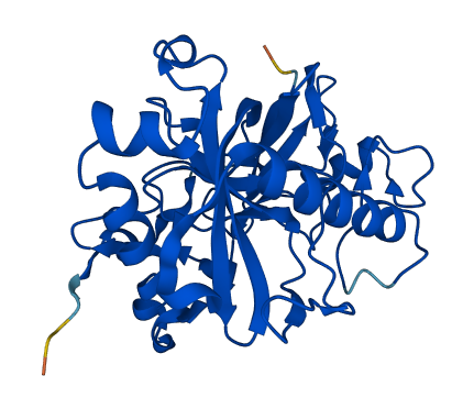 PPA1 3D structure