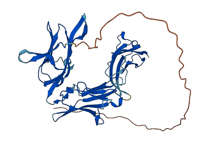 PDGFRL 3D structure