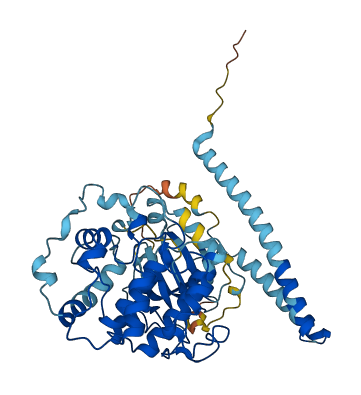 STK38 3D structure