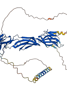 NECTIN1 3D structure