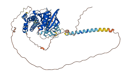 PTPRR 3D structure