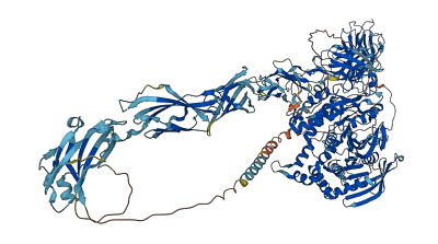 PTPRK 3D structure