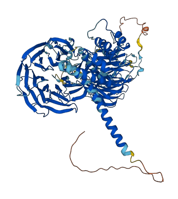 PWP2 3D structure