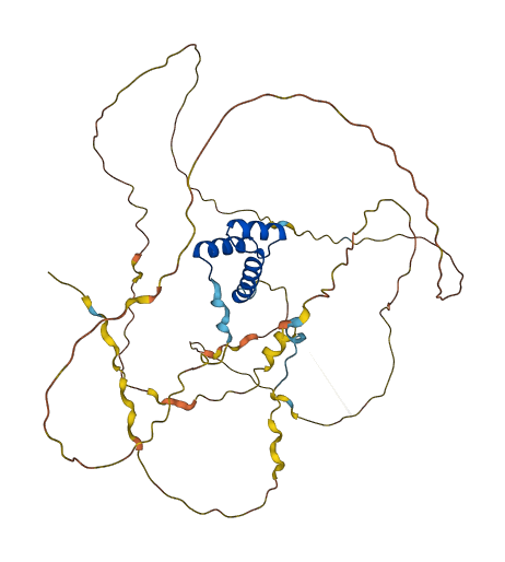 NKX1-1 3D structure