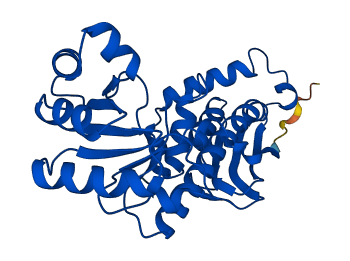 QPRT 3D structure