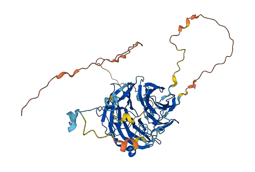 RBBP5 3D structure
