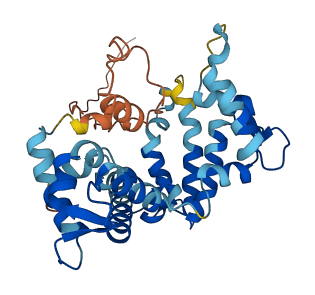 RCN1 3D structure