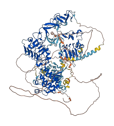 ERBB4 3D structure
