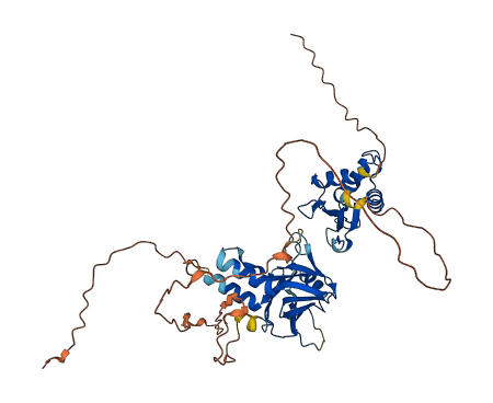 IRF4 3D structure